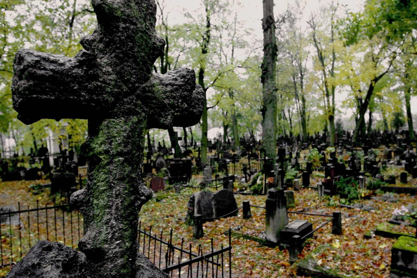 Bernardinų kapinės<br>M.Vizbelio nuotr.