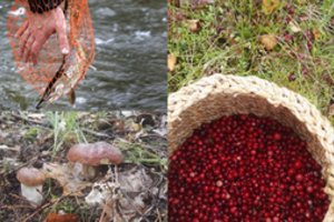 Tarnyba įvardijo produktus, kurių reikėtų vengti Alytaus gaisro paveiktoje teritorijoje