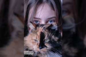 Laukinė katė tapo neatsiejama šeimos drauge