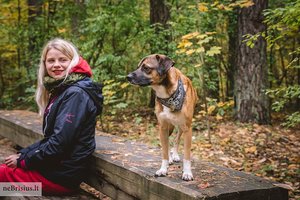 Parodė kasdienės šypsenos ir juoko priežastį – keturkojį radiatorių