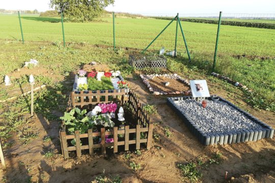 Kapinių prižiūrėtojams – didysis darbymetis 