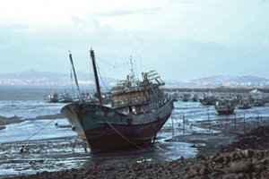 Vandenynus raižo siaubo laivai: jūreivių pasakojimai – lyg iš baisiausių košmarų