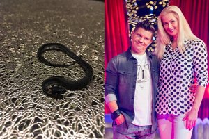 Renatos ir Deivio Norvilų namuose – netikėtas radinys: tai smarkiai išgąsdino sūnų