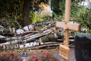 Draudikai vis dažniau perlipa ir per kapinių tvorą