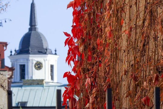 Šaltukas traukiasi: artimiausiu metu smarkiai atšils, bet reikės skėčio