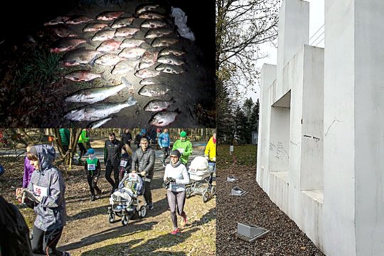 Lietuvos kontrastai: vienur vyko ekomaratonas, kitur siautė brakonierius