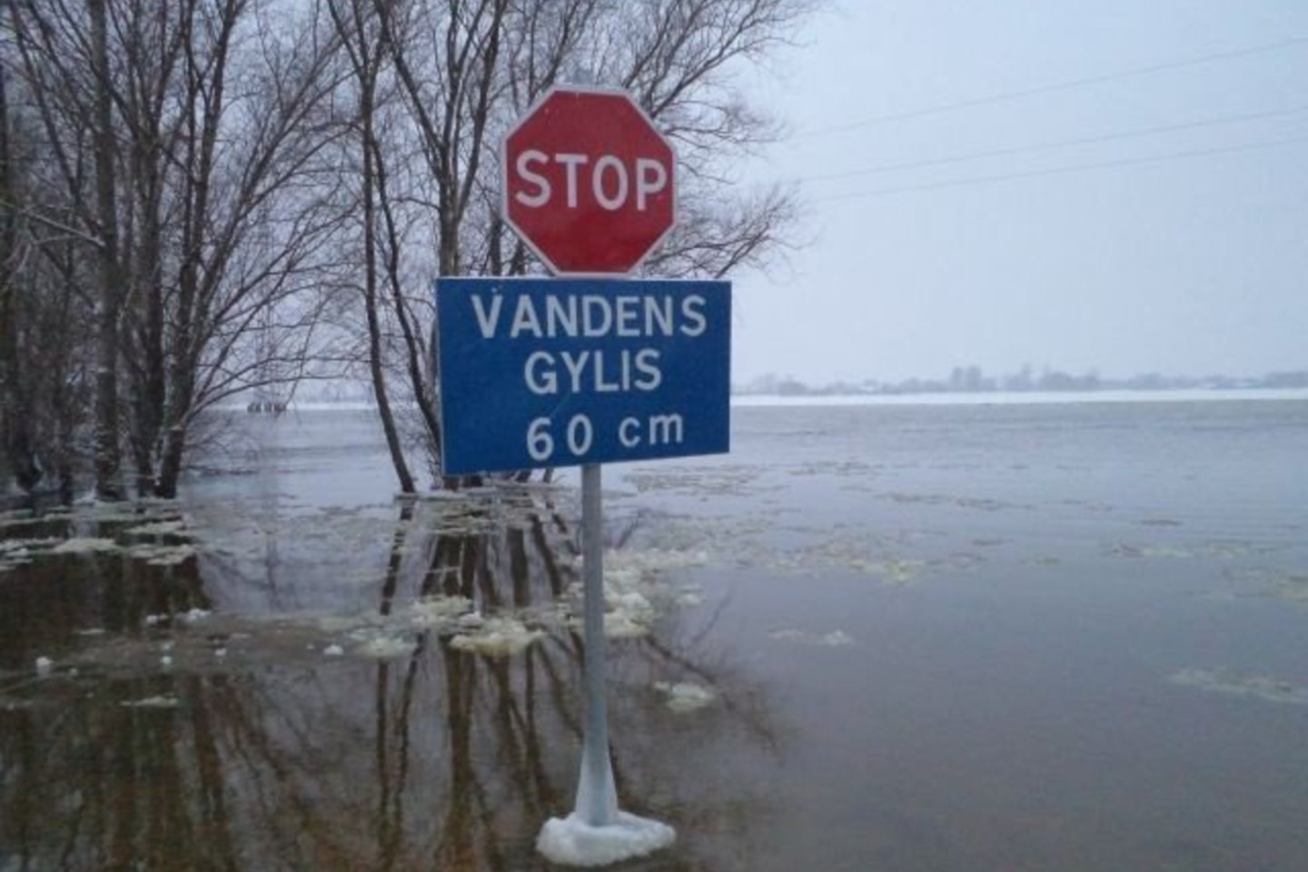 Užlietoje kelio Rusnė-Šilutė atkarpoje antrą kartą šį sezoną vanduo nuslūgo iki 60 cm ribos.<br>A. Aleksėjūnienė