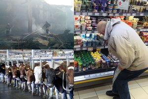 Verslas kirto Maisto ir veterinarijos tarnybai – šimtai tonų produkcijos išimta be aiškių tyrimų