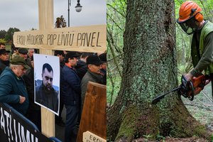 Rumunijoje nužudyti 6 miškininkai: protestuotojai išėjo į gatves, reikalauja nutraukti miškų kirtimus