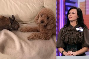 Seniai girdėta Asta Pilypaitė prakalbo apie keturkojo šeimos nario operaciją: „Labai rizikavome“