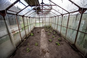 Dar ne vėlu: šiltnamis kitam sezonui ruošiamas rudenį