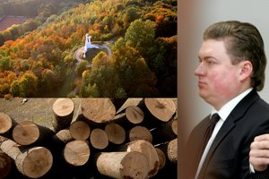 Žada nuskusti Trijų kryžių kalną – į europinius milijonus taikosi teistas veikėjas