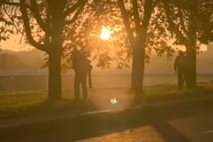 Po anomaliai šiltos dienos Lietuvoje pranešė, kur buvo pasiekti rekordai