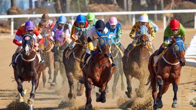Pergalė žirgų lenktynėse lėmė milijoninį laimėjimą