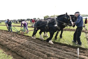 G. Nausėda: Lietuva nori didesnių ES išmokų sanglaudai ir žemės ūkiui 