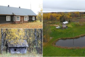  Sodybą Rokiškio rajone vilniečiai nusipirko net neužėję į vidų, priežastis – itin miela