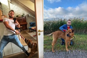 Aktoriaus Dominyko Vaitiekūno namuose prieglobstį rado negandų talžytas šuo