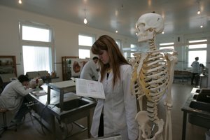 Ekspertė įvardijo, kodėl jauni žmonės studijoms renkasi užsienio universitetus