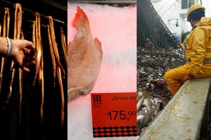 Ant lietuvių stalo – sparčiai nykstančios žuvys, kurių ateities kartos neparagaus