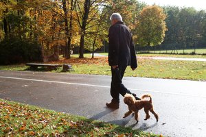 Norite darbuotojus motyvuoti ilgesniam laikui? Paragino įvertinti dar neatrastą skatinimo būdą