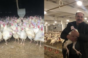 Sparnuotųjų ūkio savininkas verslą pradėjo 45-erių – idėja gimė netradicinėje vietoje