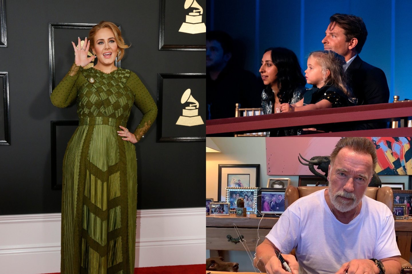 Adele, Bradley Cooperis su dukrele ir Arnoldas Schwarzneggeris.<br>lrytas.lt montažas.
