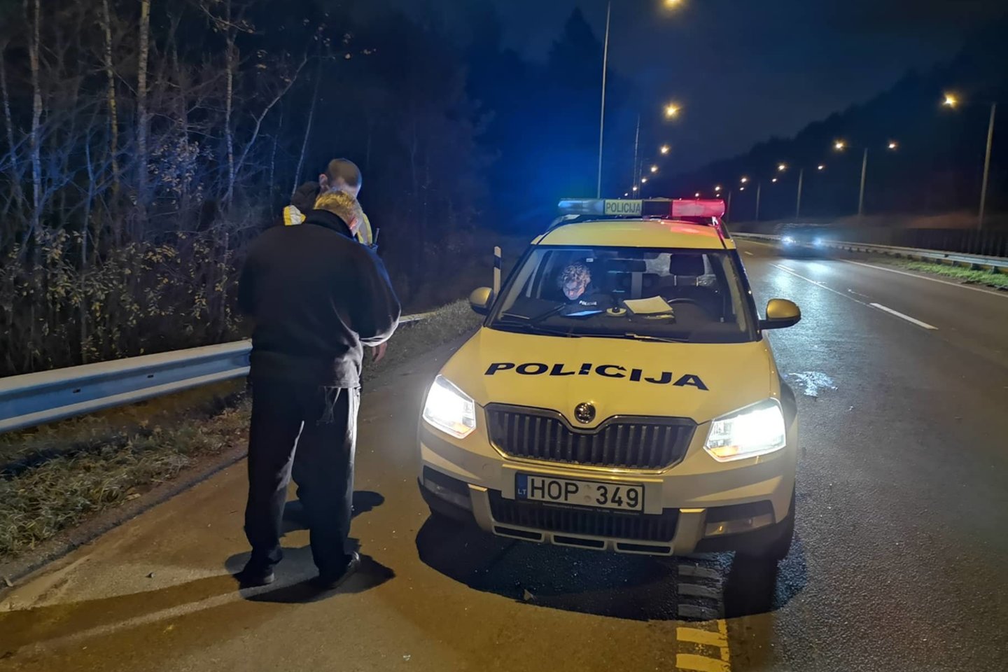  Kelyje Vilnius-Kaunas BMW susidūrė su briedžiu: vairuotoją išsivežė medikai.<br> A.Vaitkevičiaus nuotr.