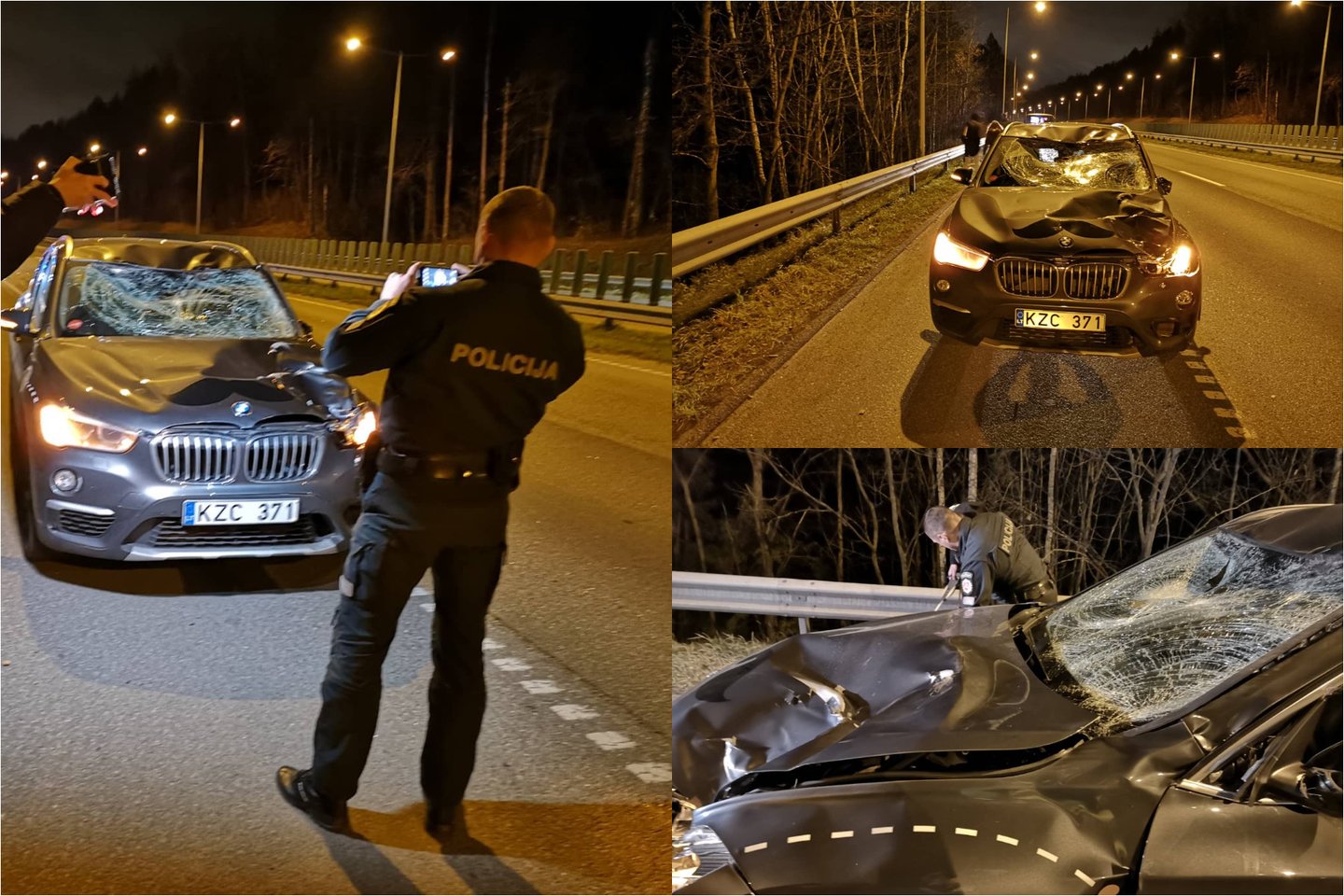  Kelyje Vilnius-Kaunas BMW susidūrė su briedžiu: vairuotoją išsivežė medikai.<br> lrytas.lt koliažas