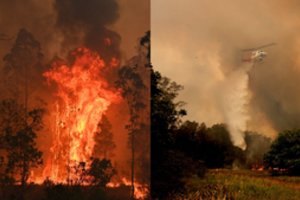 Katastrofa Australijoje: liepsnose žuvo žmonės, sudegė 150 namų