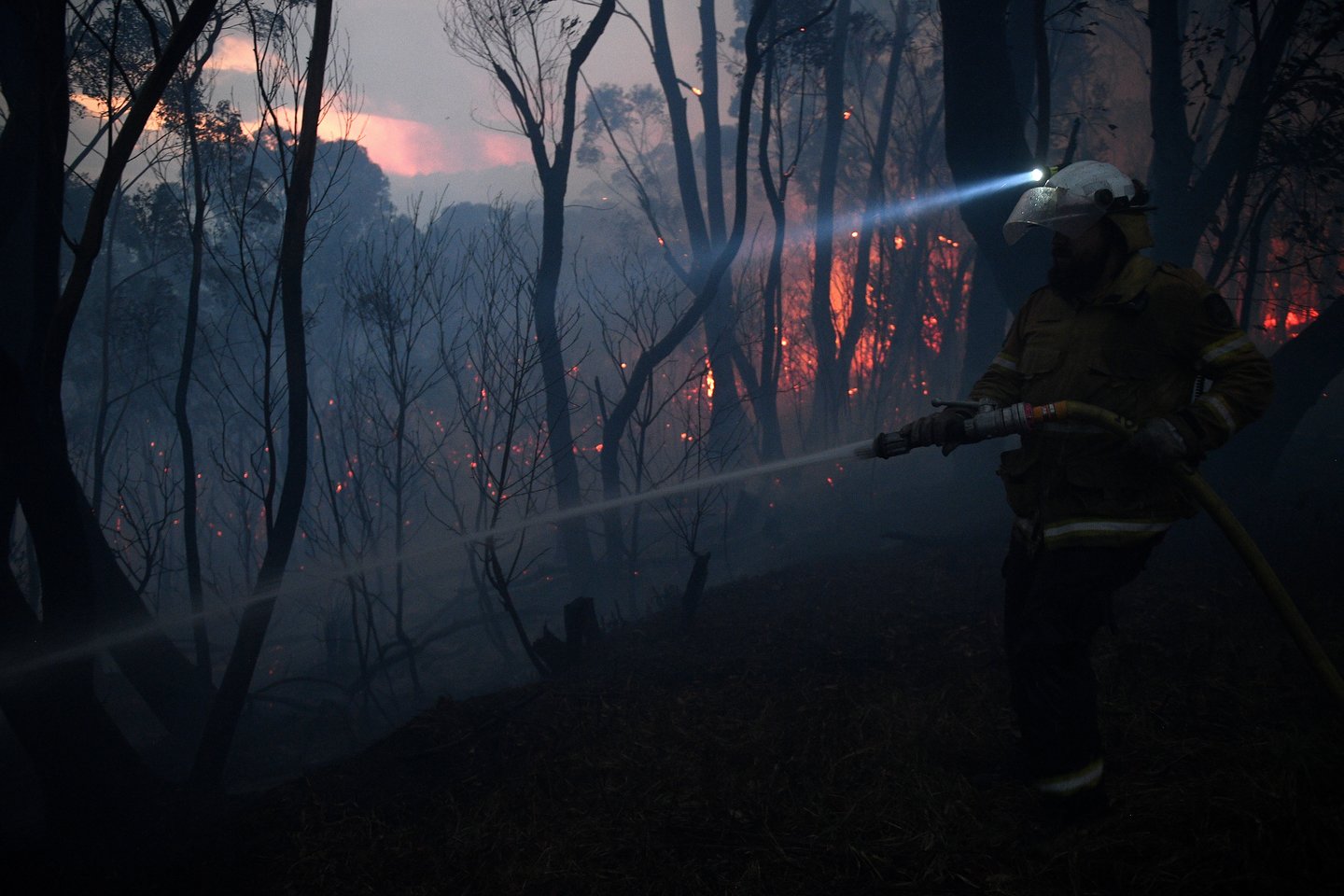 Rytų Australijoje siaučia katastrofiniai krūmynų gaisrai.<br> Reuters/Scanpix nuotr.
