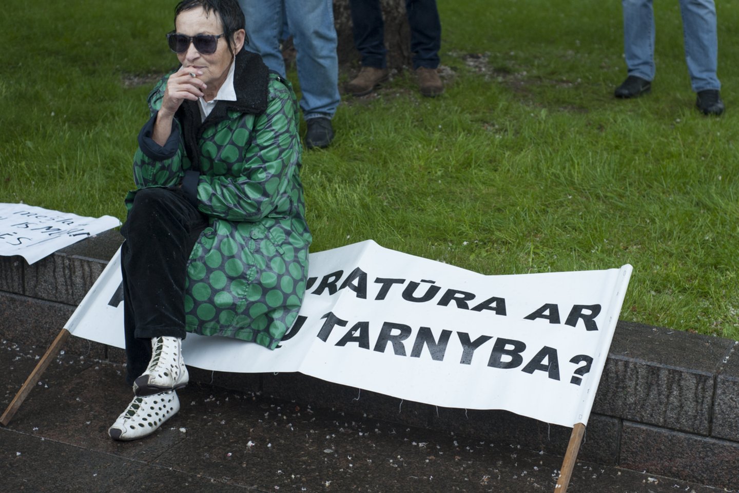 Protesto akcija dėl mergaitės perdavimo L.Stankūnaitei prie Prezidentūros. 2012 metų gegužės 17-oji.<br>V.Ščiavinsko nuotr.