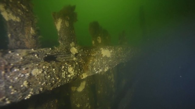 Netikėtas atradimas jūros dugne – istorija siekia net 17 amžių