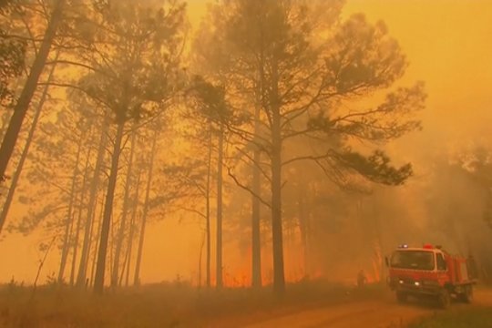 Miškų gaisrai plieskiasi su nauja jėga – pranešama apie dešimtis naujų ugnies židinių 