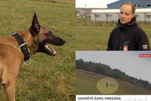 Vilnietę šokiravo šuns dresuotojo veiksmai: pasiteisinimas pribloškė