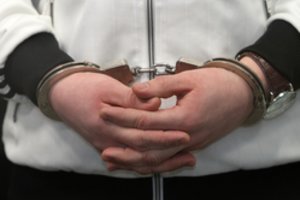 Valstybinės Ukrainos įmonės buvęs vadovas prašo Lietuvos politinio prieglobsčio