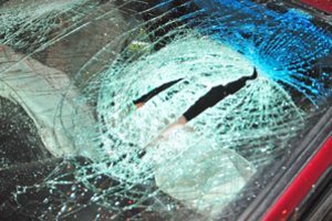 Susidūrimai su gyvūnais virsta košmaru: nuostoliai – ir keliasdešimt tūkstančių eurų 