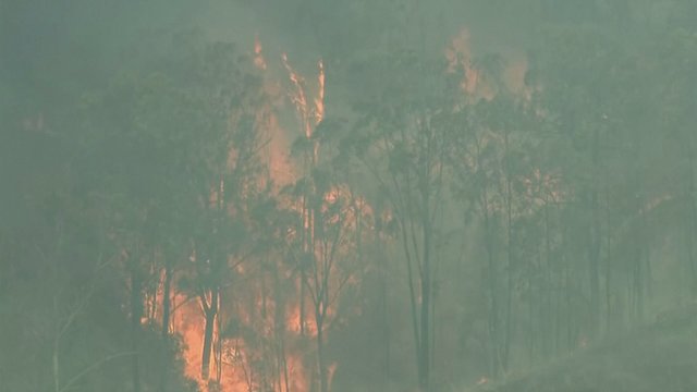 Australijoje siaučia nevaldomi gaisrai – sudužo ugniagesių sraigtasparnis