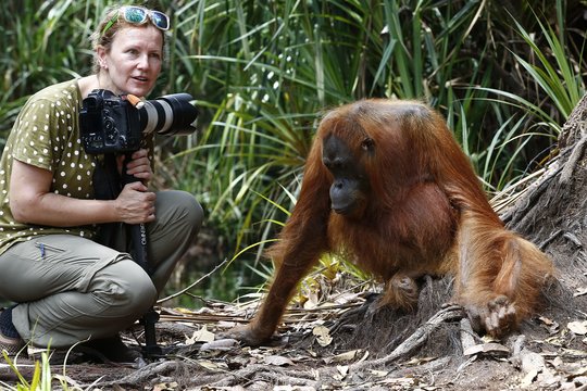 Tapti savai tarp orangutangų lietuvių aktorei padėjo profesinė patirtis