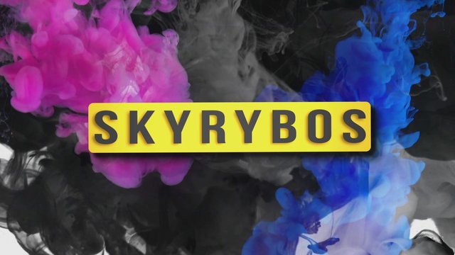 Skyrybos 2019-11-14