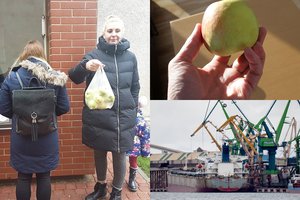 Klaipėdiečiai išsigandę: dėl nuodų koncentracijos bijo valgyti užterštą maistą