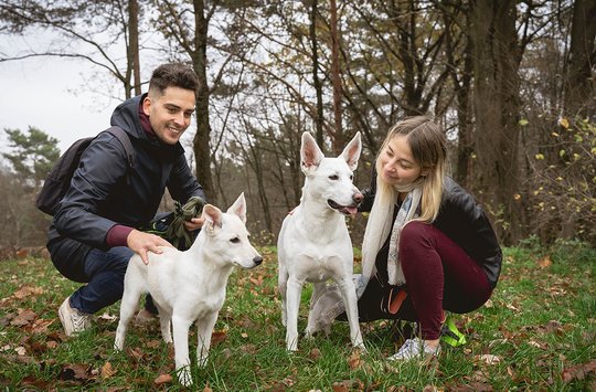 Lietuvė Graikijoje su mylimuoju išgelbėjo ilgai kentėjusią mažylę