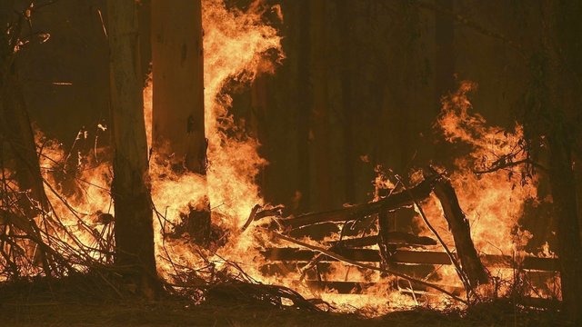 Pragariškas gaisras nusinešė jau 4 žmonių gyvybes: ugnis plinta toliau
