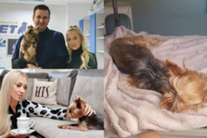 Tauragiškės šunį ištiko tragedija: veterinaras atvejį vadina tikru stebuklu