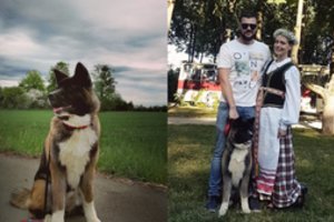 Pradingėlė Lokė grįžo į šeimininkės glėbį: paaiškėjo, kur buvo pasprukusi