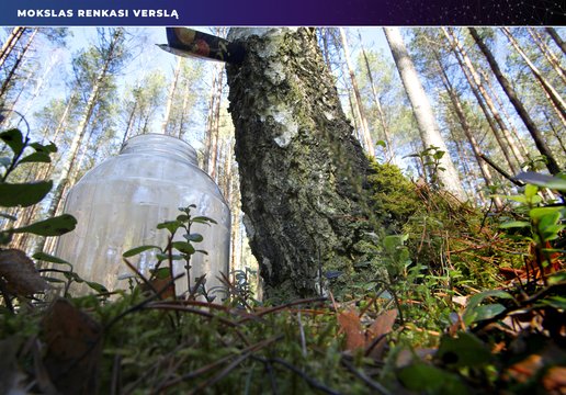 Mokslas ir verslas kuria naują pramonės rūšį