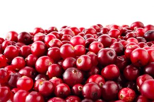 Lietuviškosios spanguolės – imuniteto stiprintojos