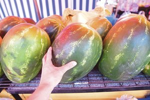 Prakalbo apie Lietuvoje parduodamus arbūzus: greitai pasieks naujos išvestos rūšys