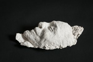 Politinių kalinių areštinėje atgyja Gedimino kalne rastų sukilėlių istorija