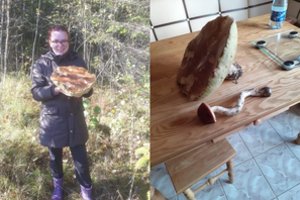 Mažeikių miškuose rastas grybas nustebino emigrantės šeimą – tokio dar nematė