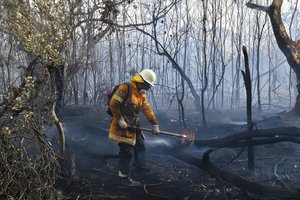 Gaisrų dūmams dusinant Sidnėjų Australijos premjeras neigia sąsajas su klimato kaita